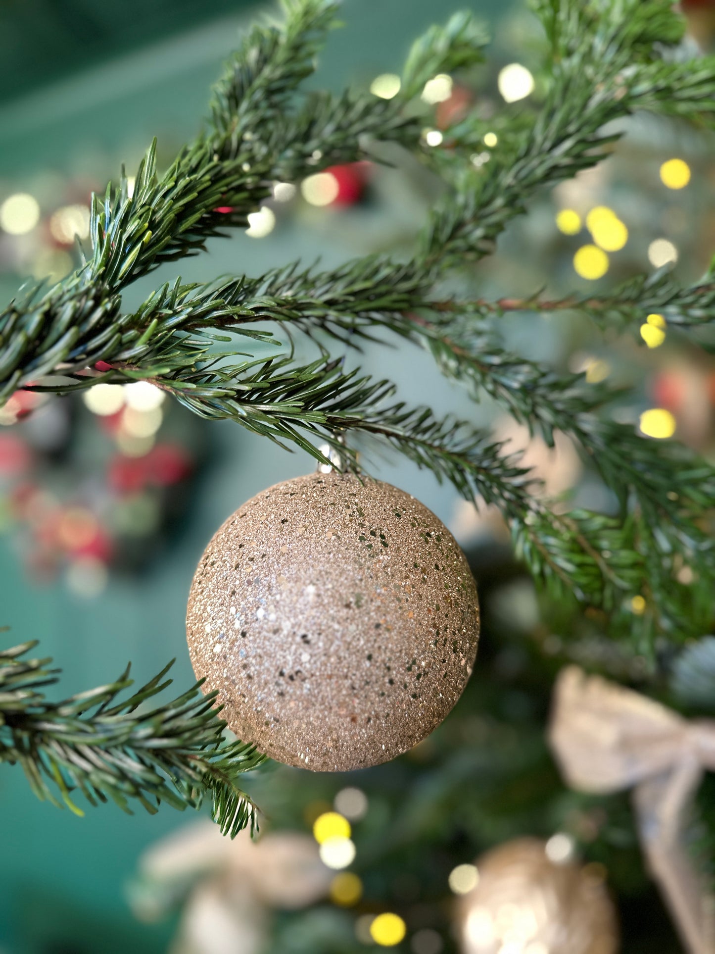 Christmas Mini Session