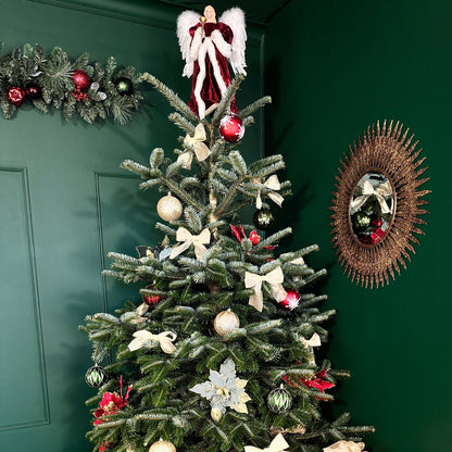 Christmas Mini Session