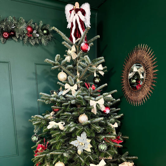 Christmas Mini Session