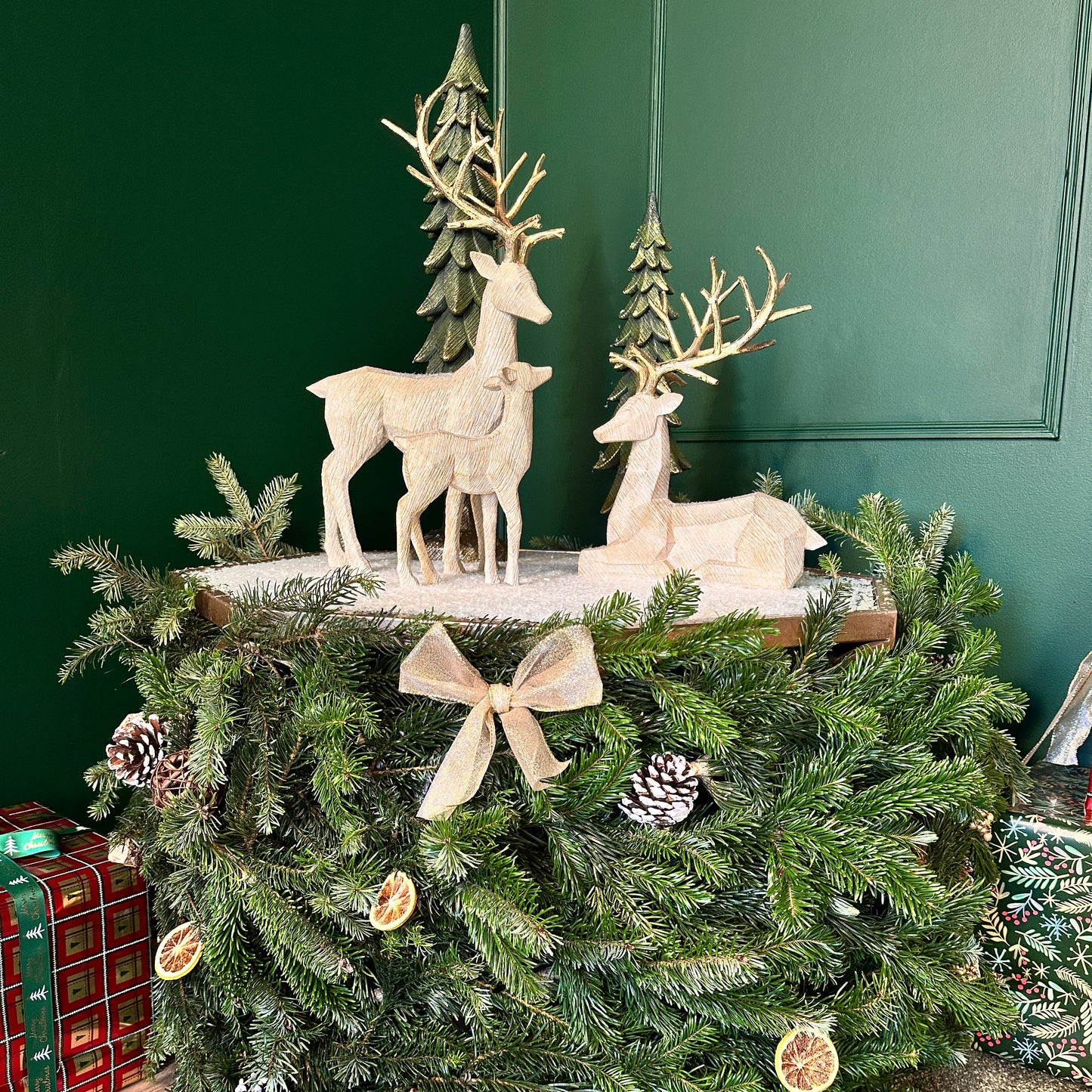 Christmas Mini Session