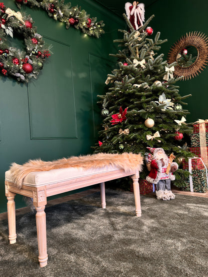 Christmas Mini Session